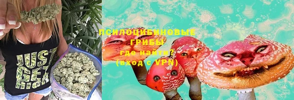 гидра Зерноград