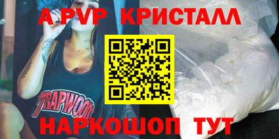 шишки Заволжье