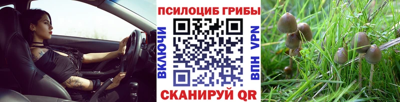 Псилоцибиновые грибы GOLDEN TEACHER  Ногинск 