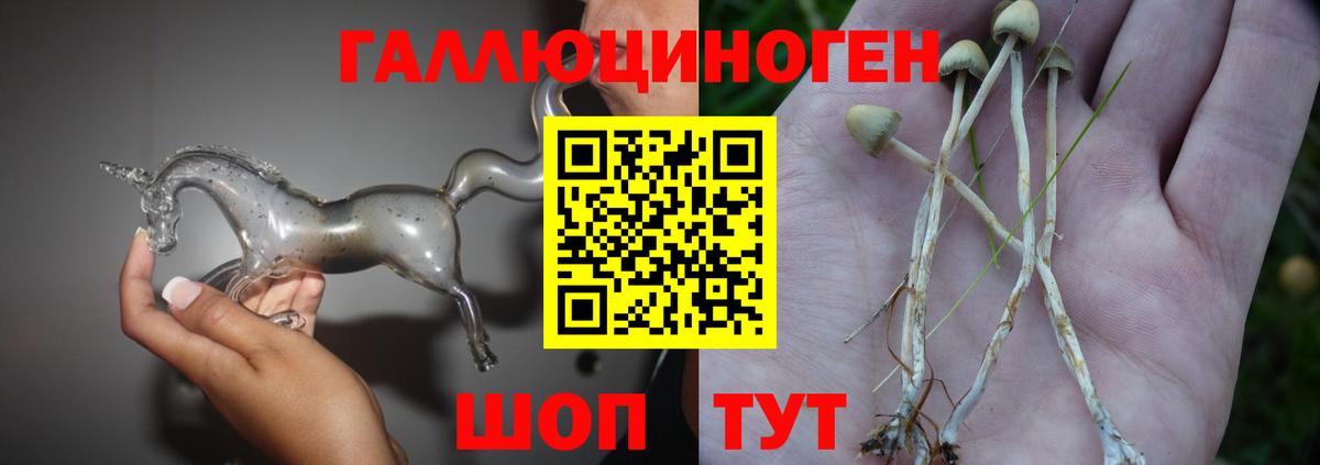 Галлюциногенные грибы Cubensis  Галлюциногенные грибы мухоморы  Ногинск  Вход с VPN 
